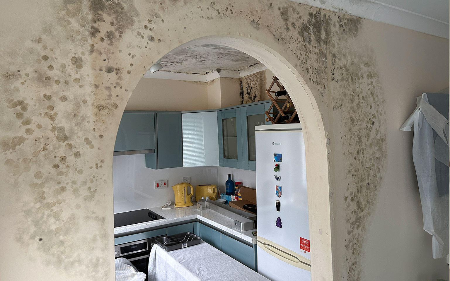 Mould Spore Risks PostWater Damage Disaster Care Capital