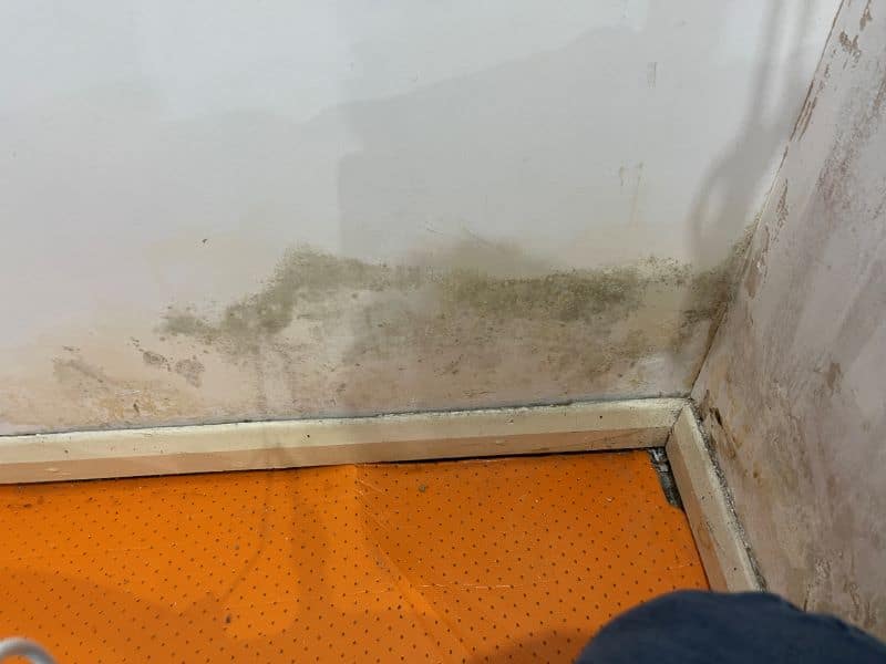 The Critical Importance of Flood Damage Restoration