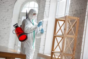 experts removing smoke smell from the house