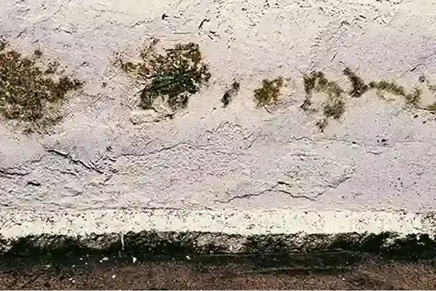 How to Treat Efflorescence on Interior Walls