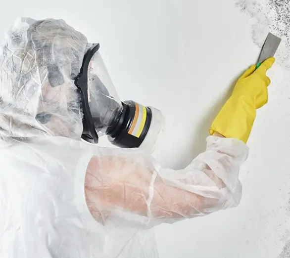 Let Us Help Restore Your Home or Business​