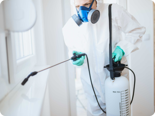 Odour Removal Service