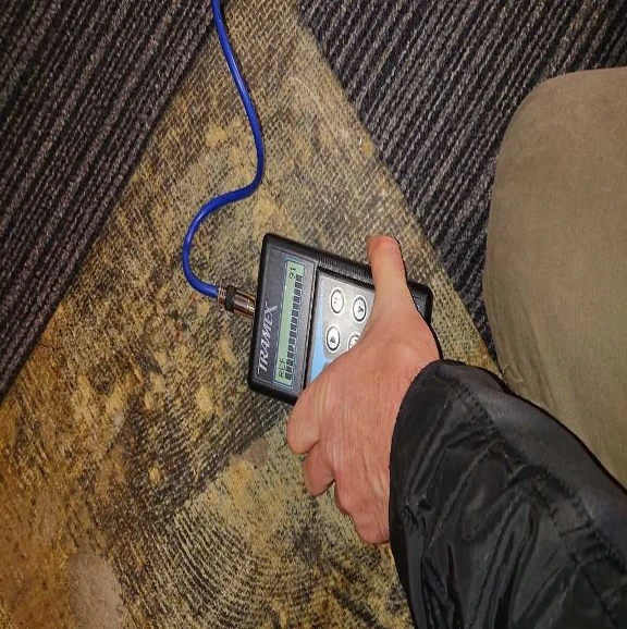 damp survey cost