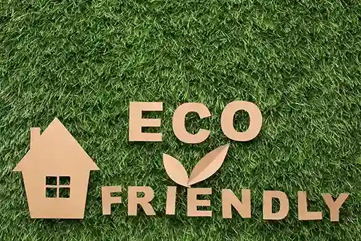 eco-friendly restoration