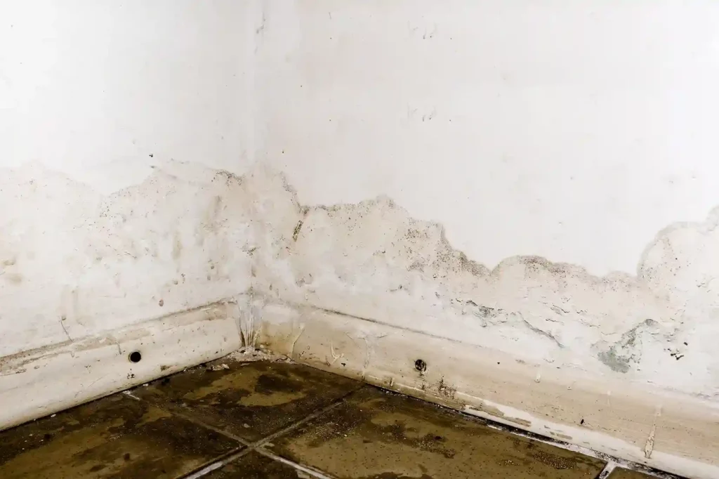 penetrating-damp-walls