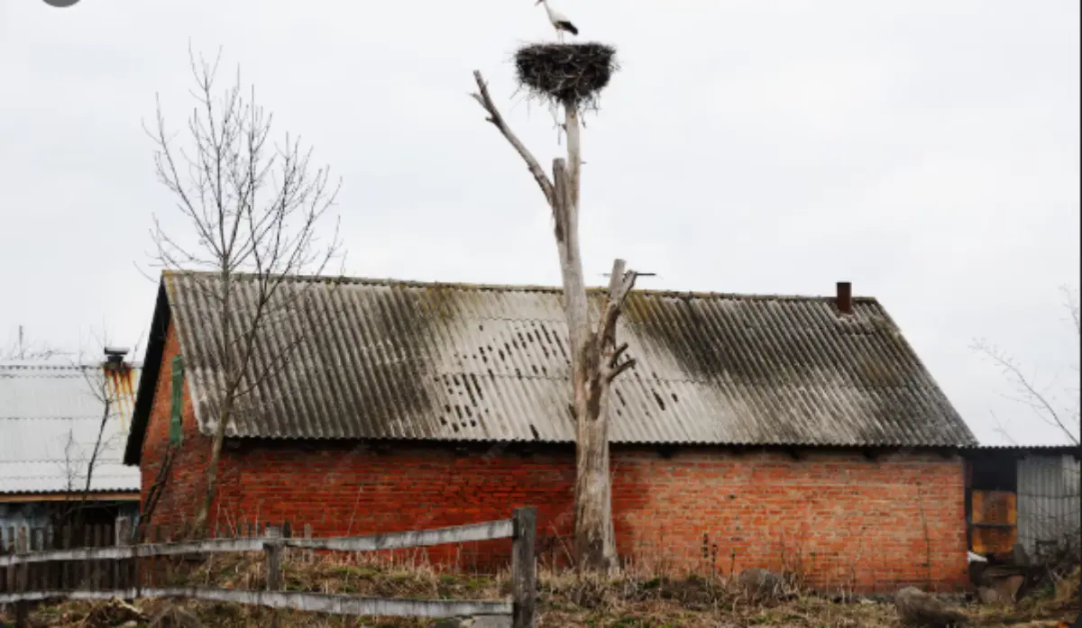 Storm Damage Restoration