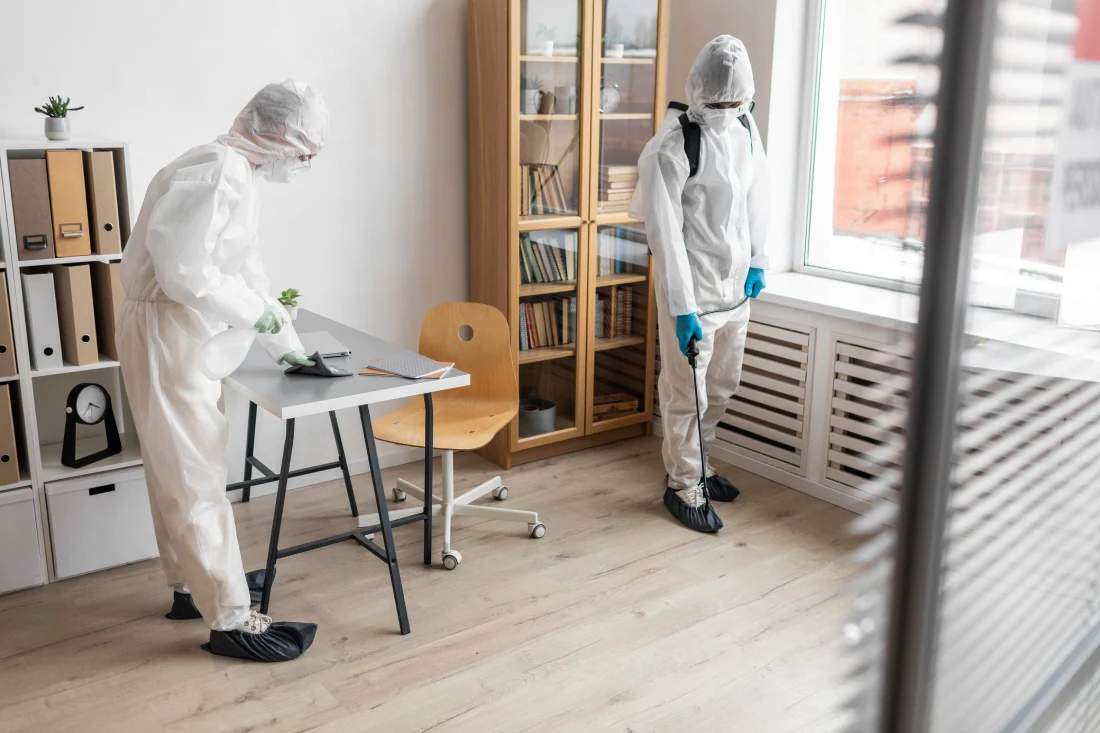 Best Mould Removal & Carpet Cleaning Company UK