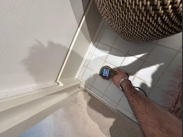 Moisture Survey Services London