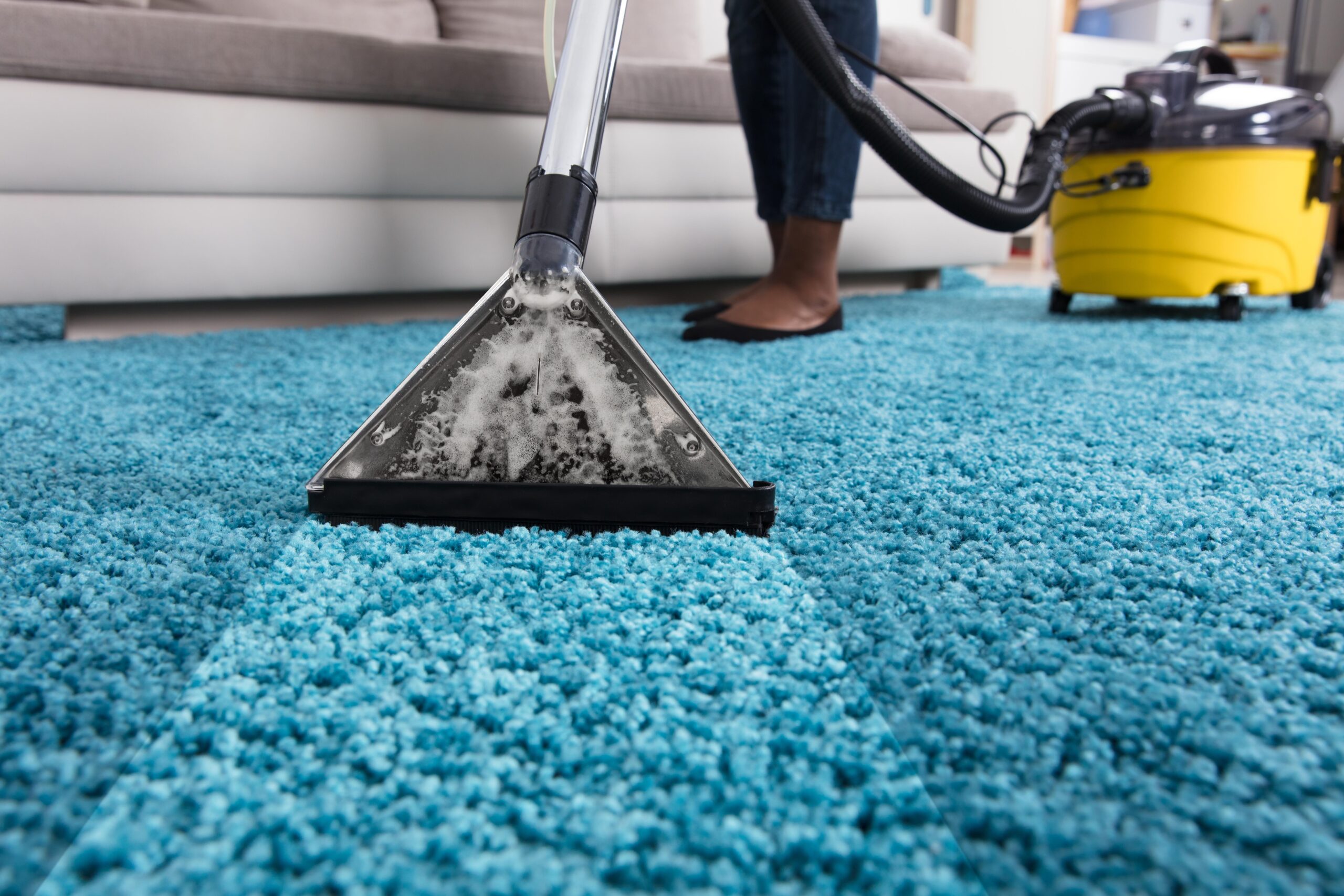 Carpet Cleaning Plumstead