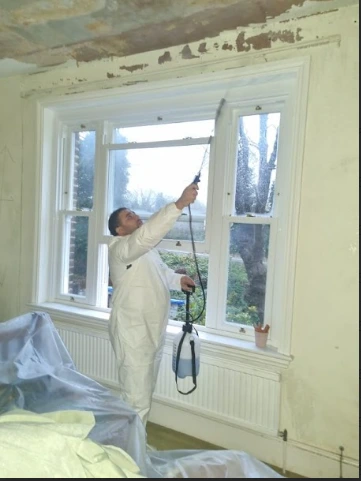 Mould removal