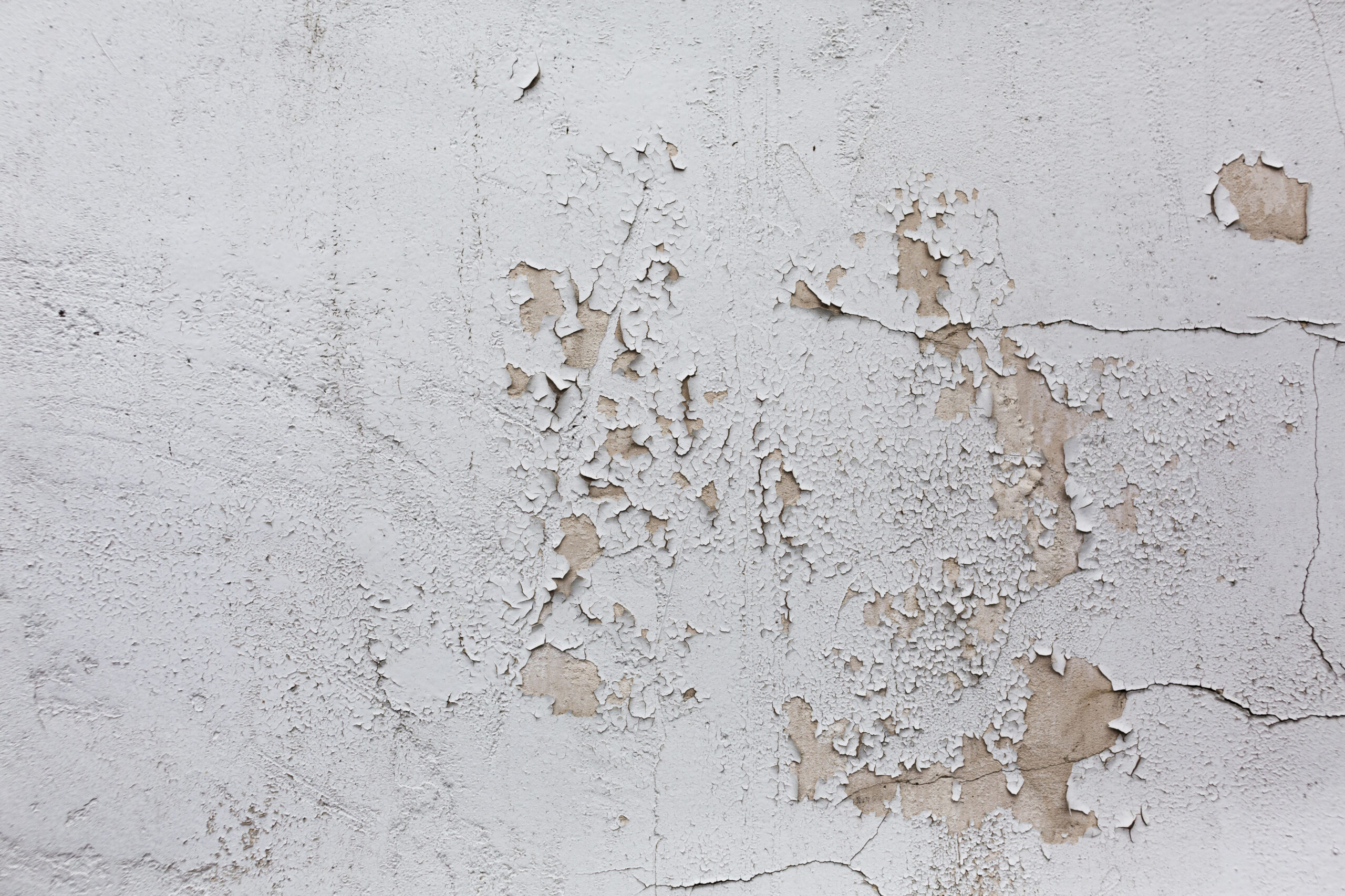 Water Damage in a Rented Property