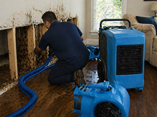 Water damage restoration
