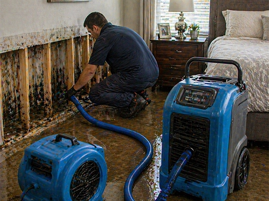 Water damage restoration