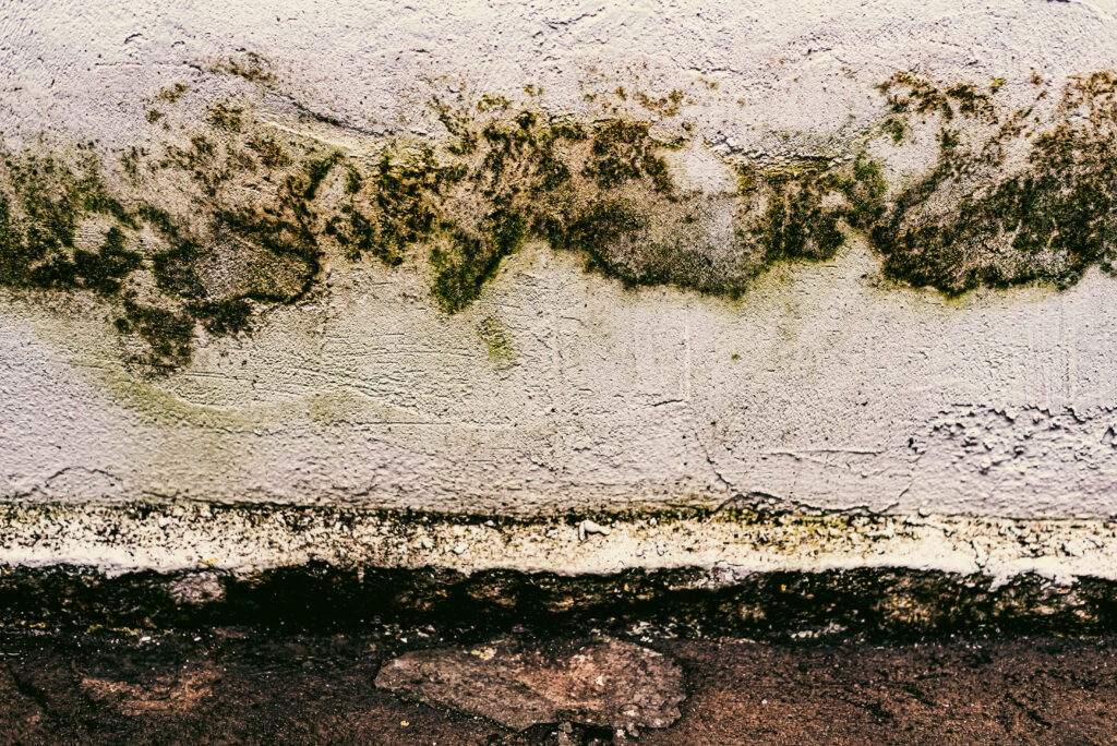 Damp in New Build Homes