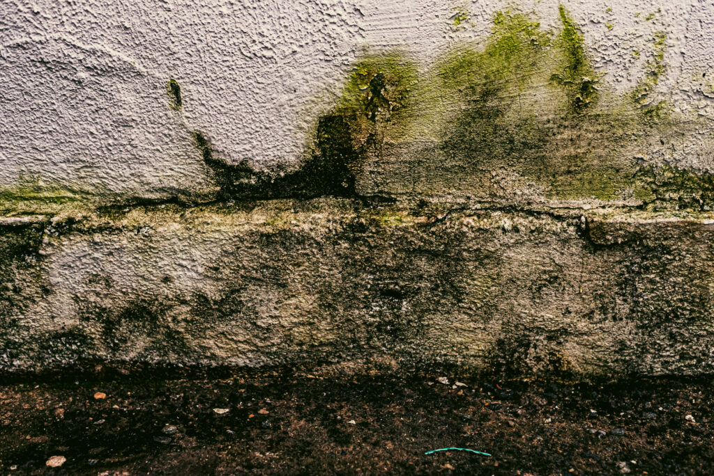 Damp in New Build Homes