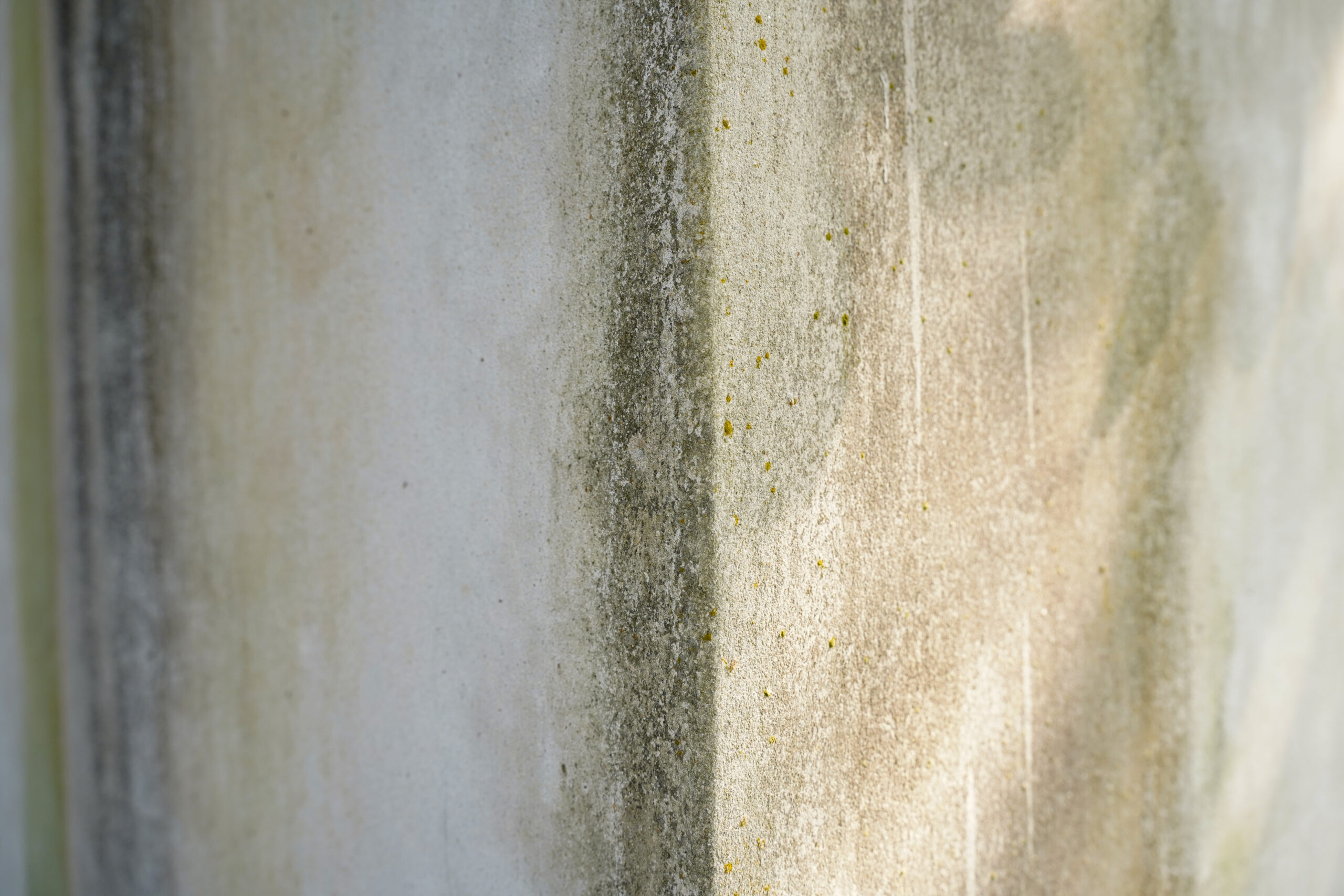 Damp in New Build Homes