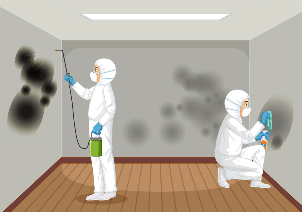 Prevent-Mould-in-a-Rented-Property