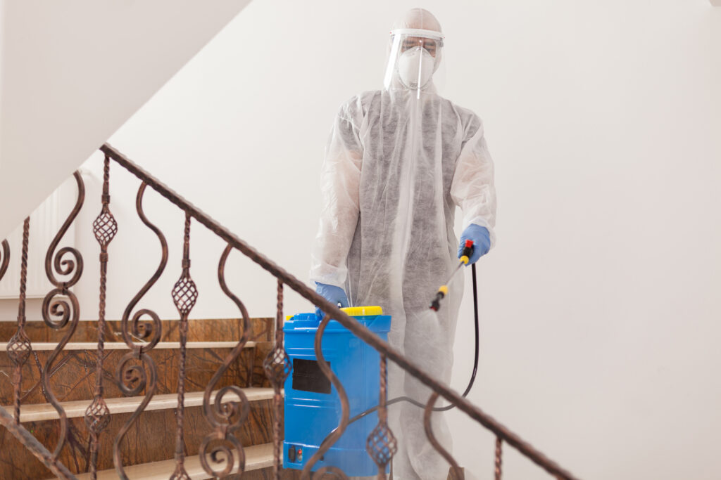 Prevent-Mould-in-a-Rented-Property