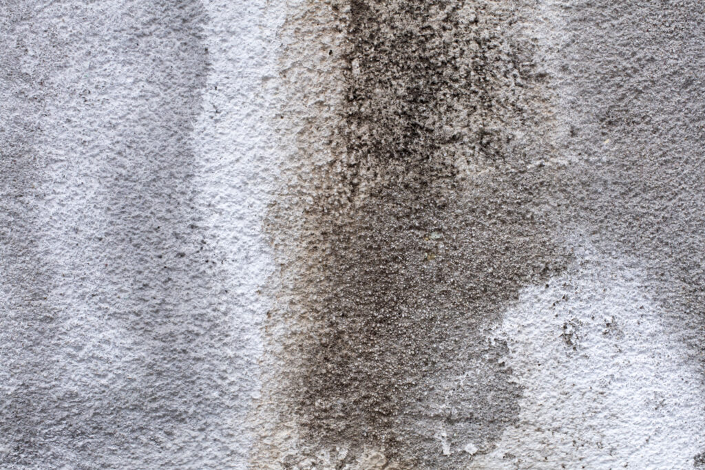 condensation mould keep coming back