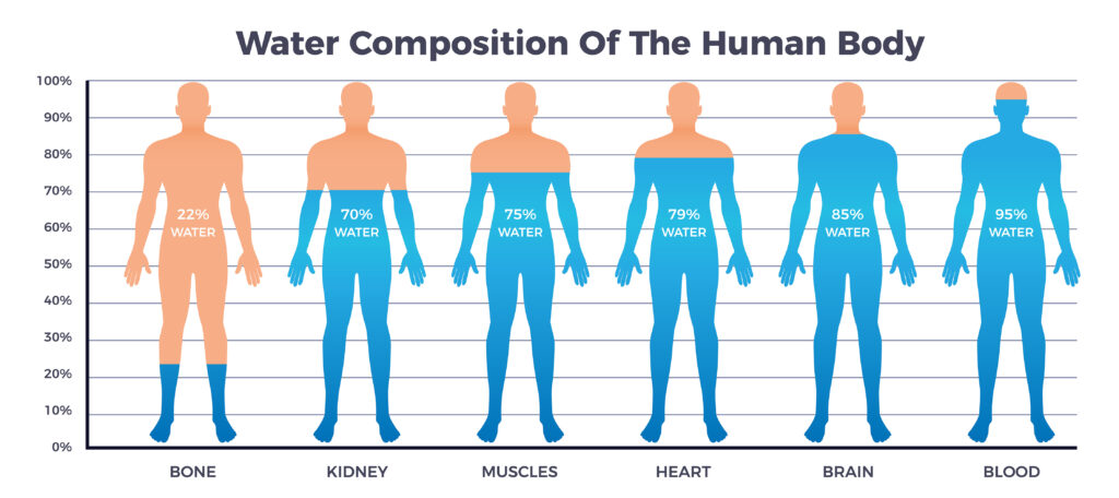 Water Does an Average Person Use Each Day