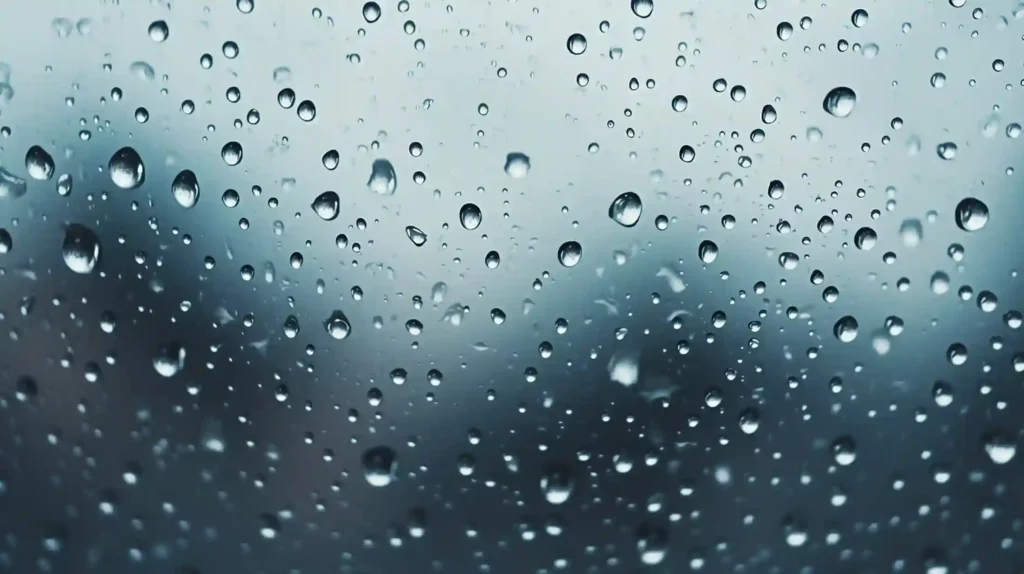 Best Setting for a Dehumidifier