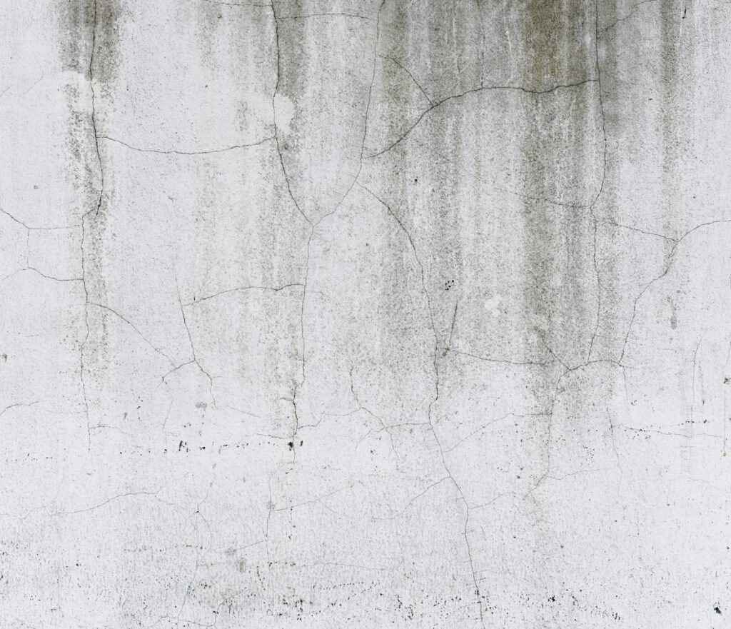 damp in a terraced house