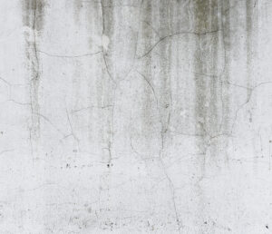 damp in a terraced house