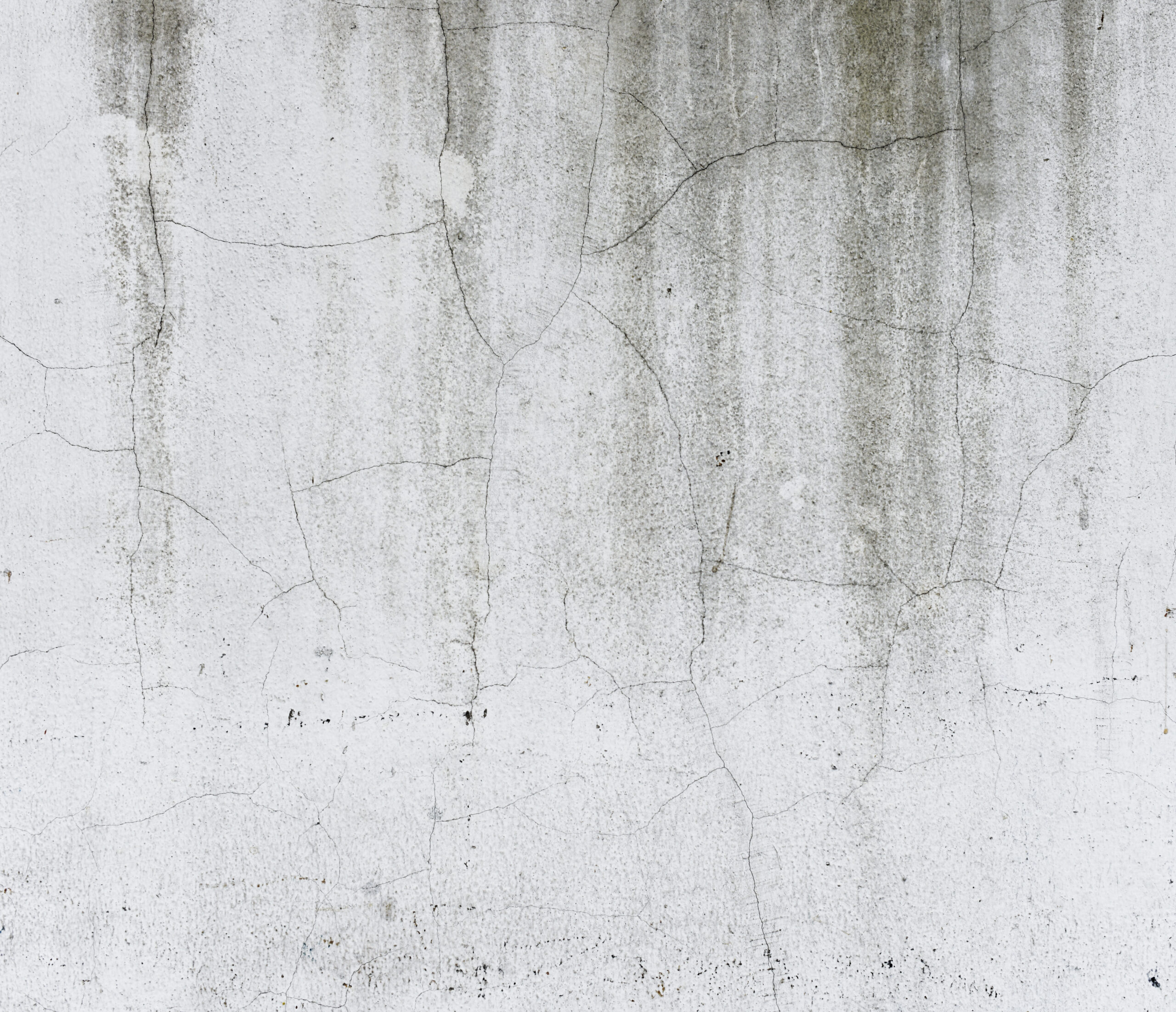 damp in a terraced house