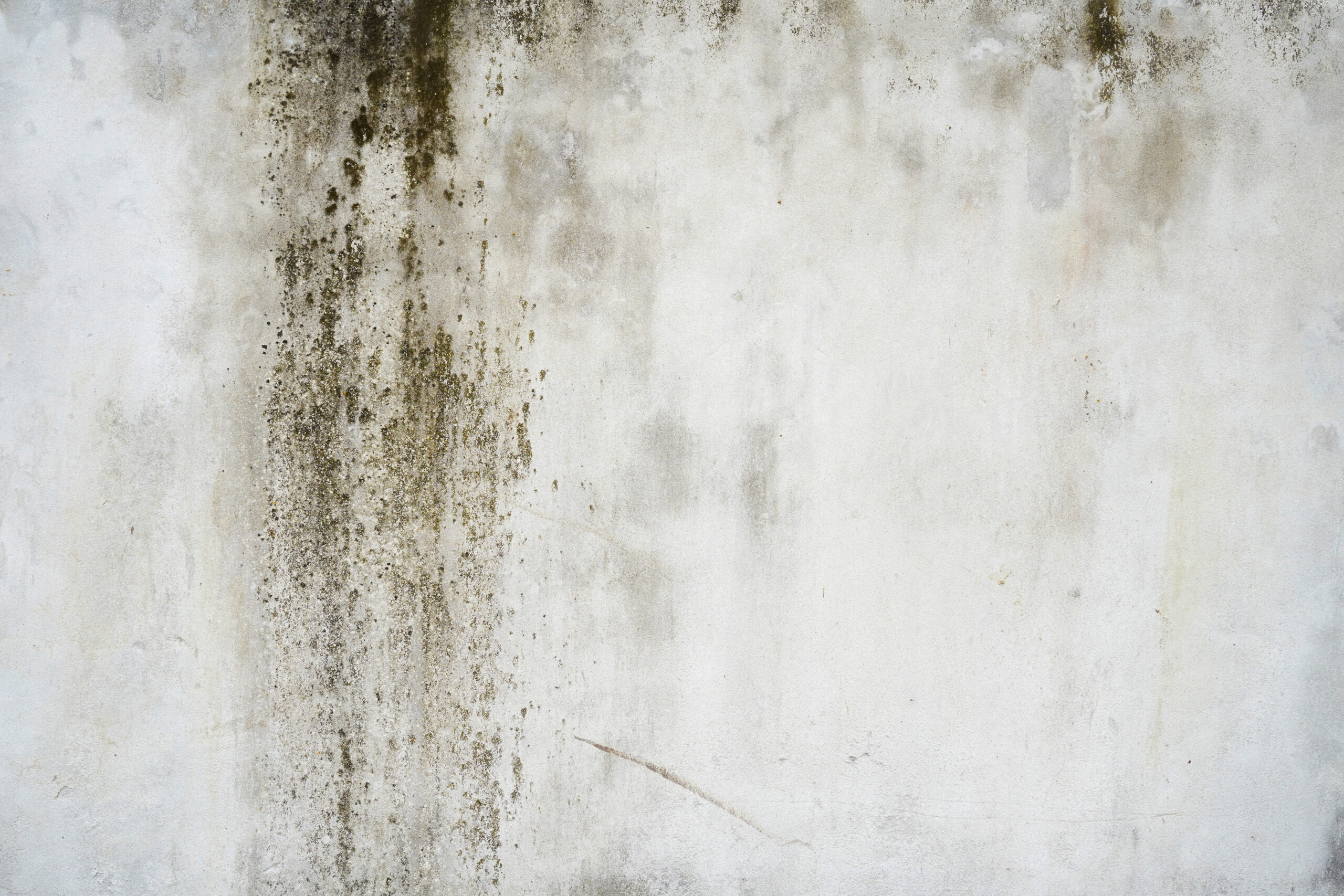 damp