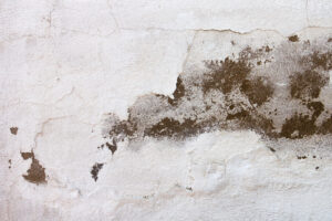 heat kill mould
