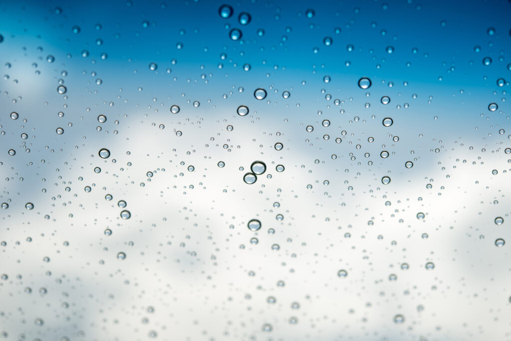 Use a Dehumidifier for the First Time