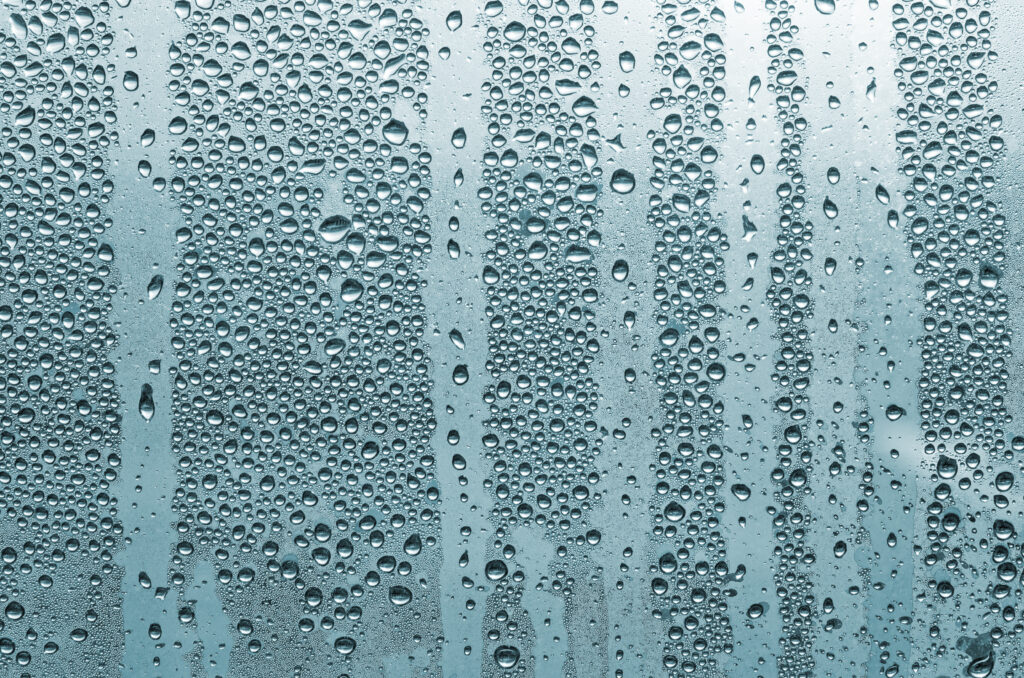 moisture  metre