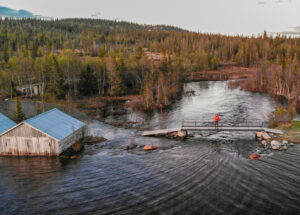 what to do in first 24 hours after a flood