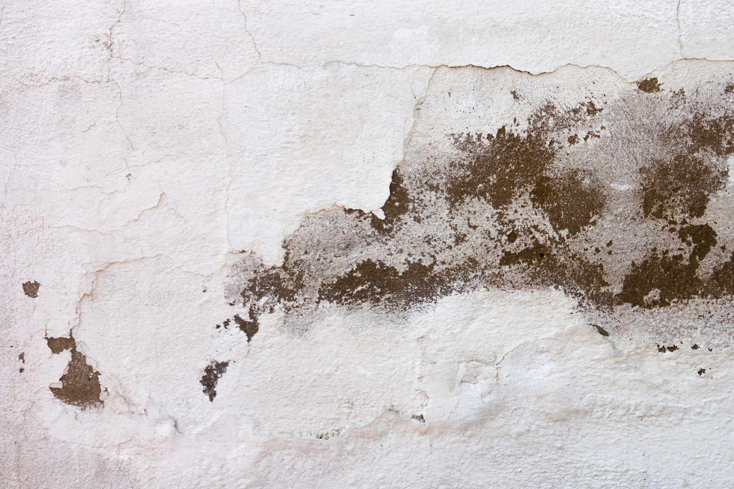 Moisture Spots on Ceiling